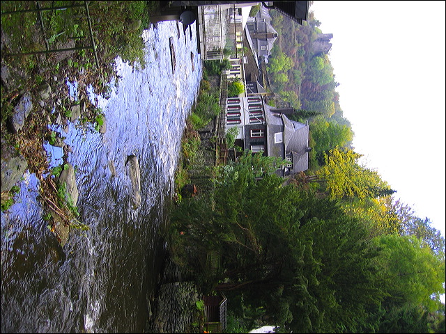 photo_017.jpg